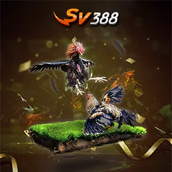 sv388awc 11zon
